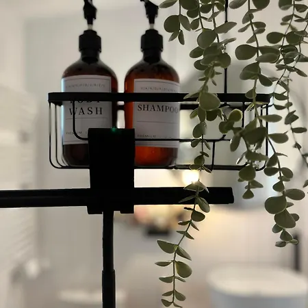 Garden - The Lotus Drahobudice