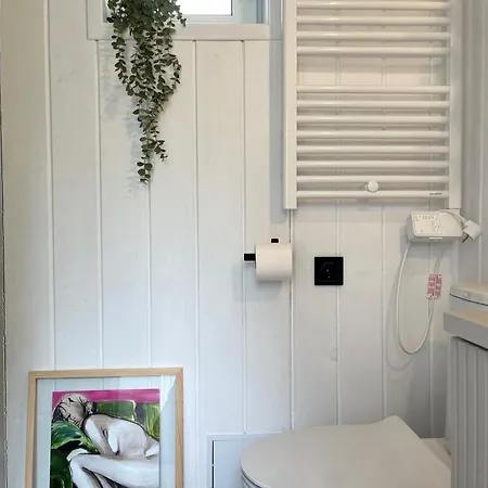 Garden - The Lotus * Drahobudice