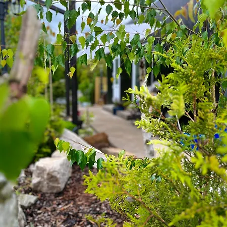 Garden - The Lotus بيت للعطل *