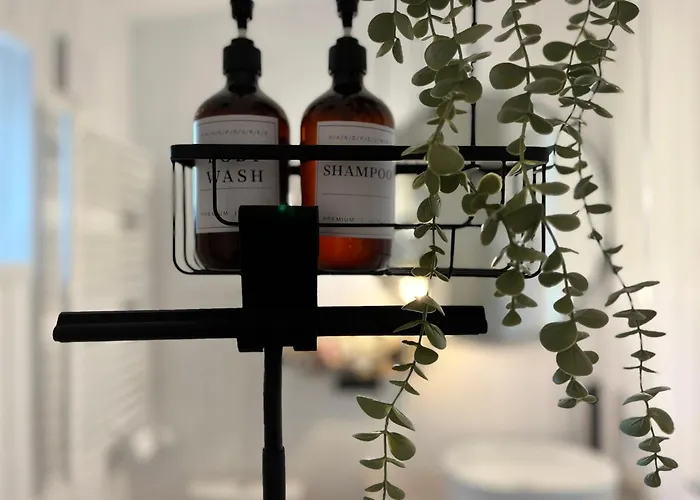 Garden - The Lotus Drahobudice